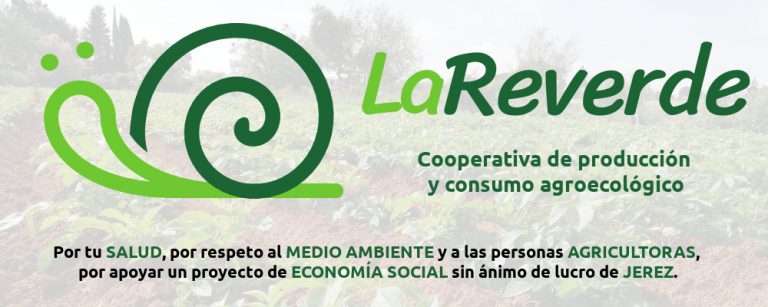 IMAGEN DESTACADA2022-06-16 at 11.53.03 AM