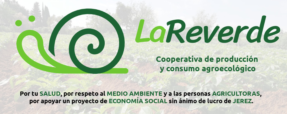 IMAGEN DESTACADA2022-06-16 at 11.53.03 AM